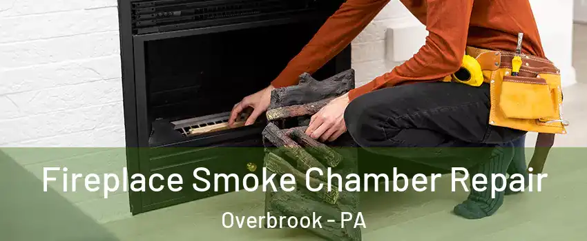 Fireplace Smoke Chamber Repair Overbrook - PA