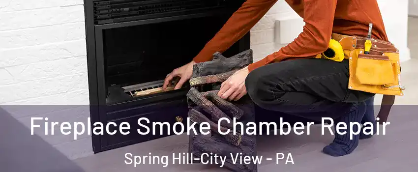 Fireplace Smoke Chamber Repair Spring Hill-City View - PA