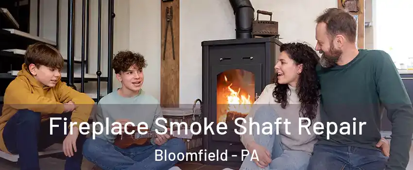 Fireplace Smoke Shaft Repair Bloomfield - PA