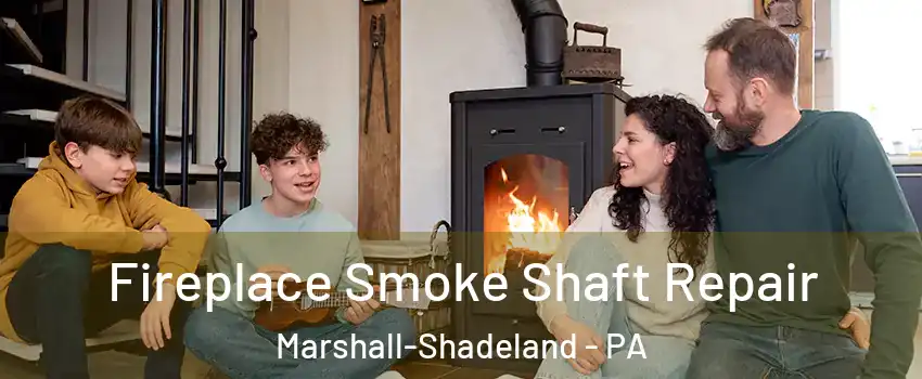 Fireplace Smoke Shaft Repair Marshall-Shadeland - PA