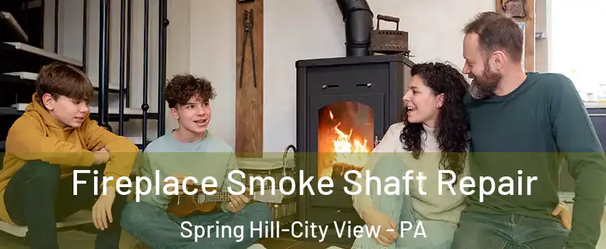 Fireplace Smoke Shaft Repair Spring Hill-City View - PA