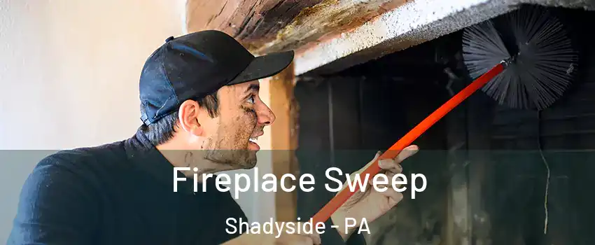 Fireplace Sweep Shadyside - PA