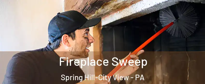 Fireplace Sweep Spring Hill-City View - PA