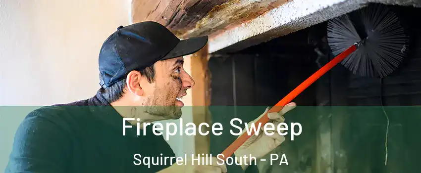 Fireplace Sweep Squirrel Hill South - PA