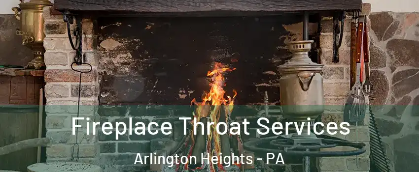 Fireplace Throat Services Arlington Heights - PA