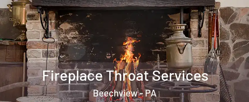 Fireplace Throat Services Beechview - PA