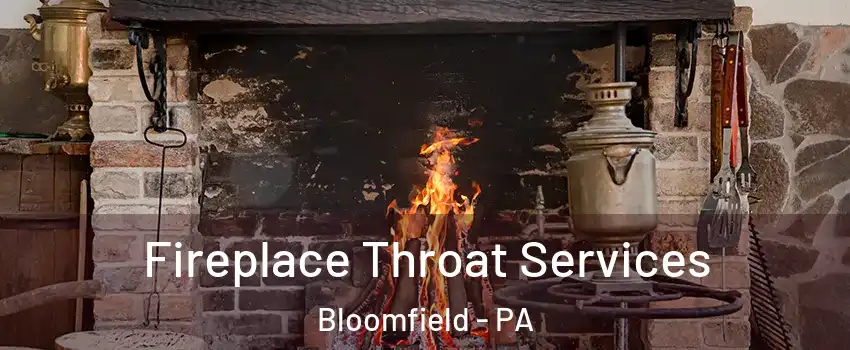 Fireplace Throat Services Bloomfield - PA