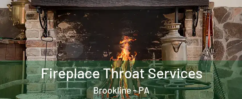 Fireplace Throat Services Brookline - PA