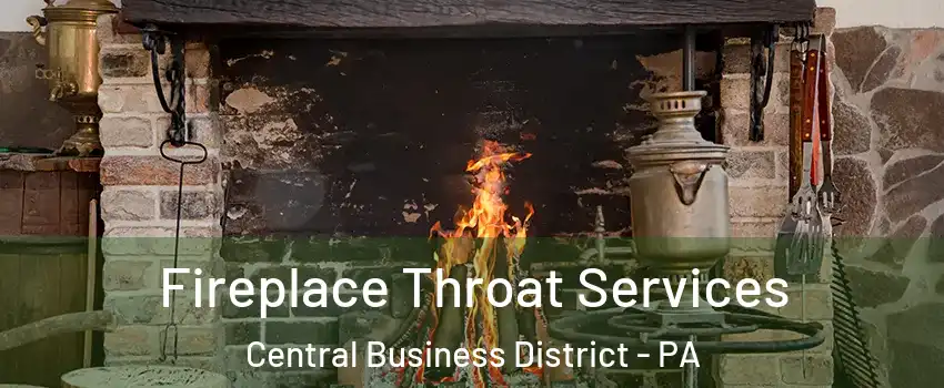 Fireplace Throat Services Central Business District - PA