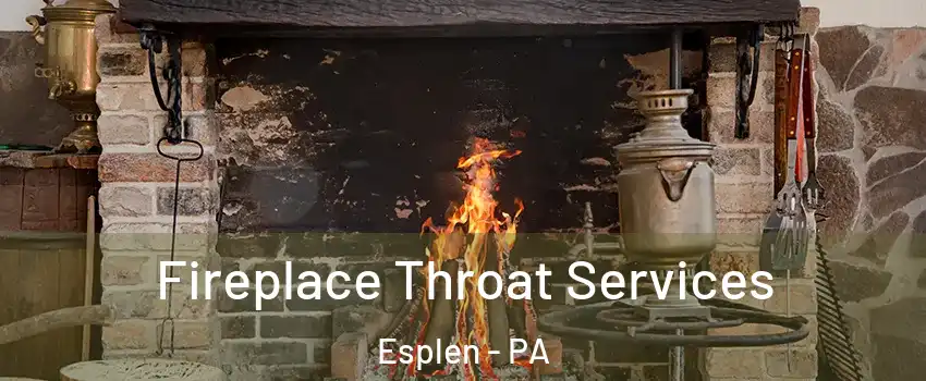Fireplace Throat Services Esplen - PA