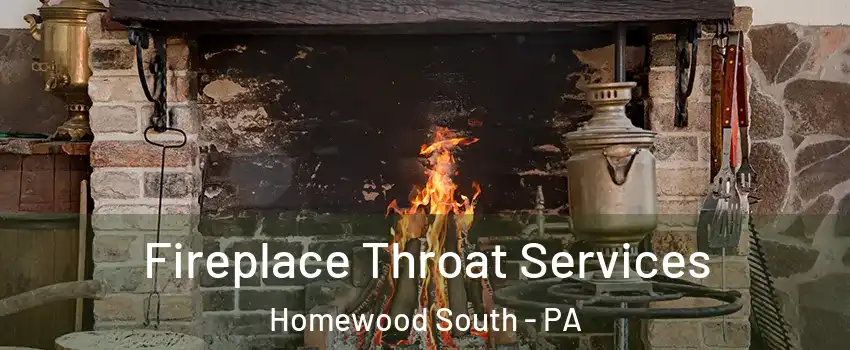 Fireplace Throat Services Homewood South - PA