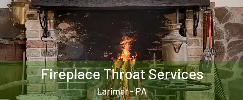Fireplace Throat Services Larimer - PA