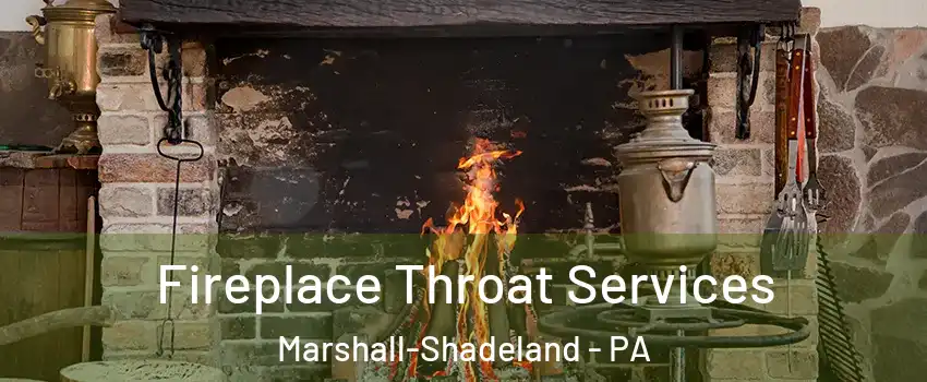 Fireplace Throat Services Marshall-Shadeland - PA