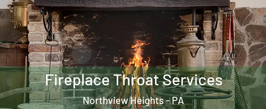 Fireplace Throat Services Northview Heights - PA