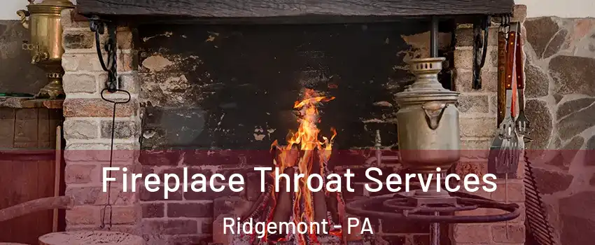 Fireplace Throat Services Ridgemont - PA