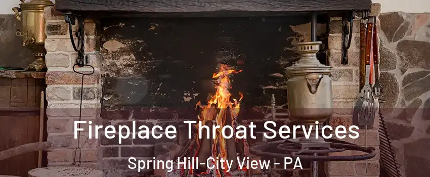 Fireplace Throat Services Spring Hill-City View - PA