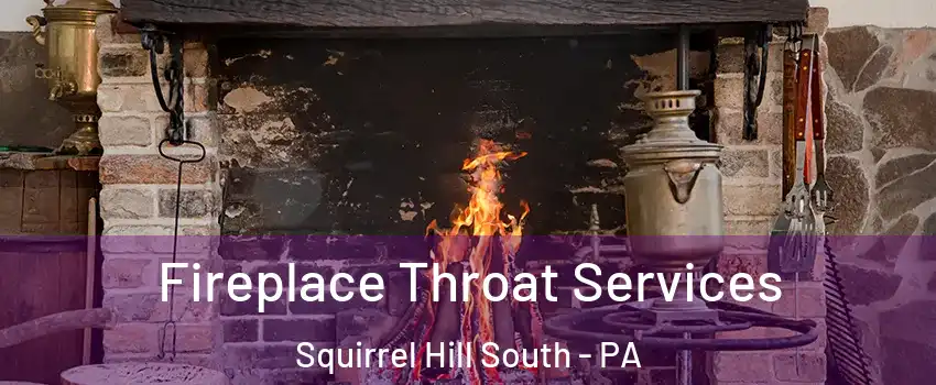 Fireplace Throat Services Squirrel Hill South - PA