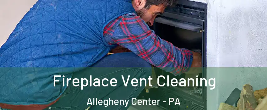 Fireplace Vent Cleaning Allegheny Center - PA