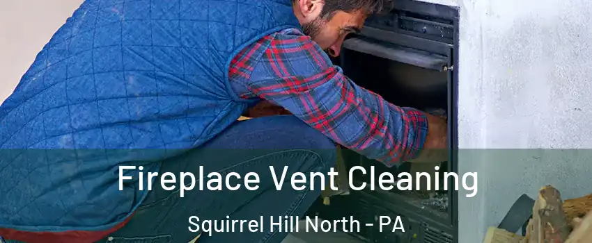Fireplace Vent Cleaning Squirrel Hill North - PA