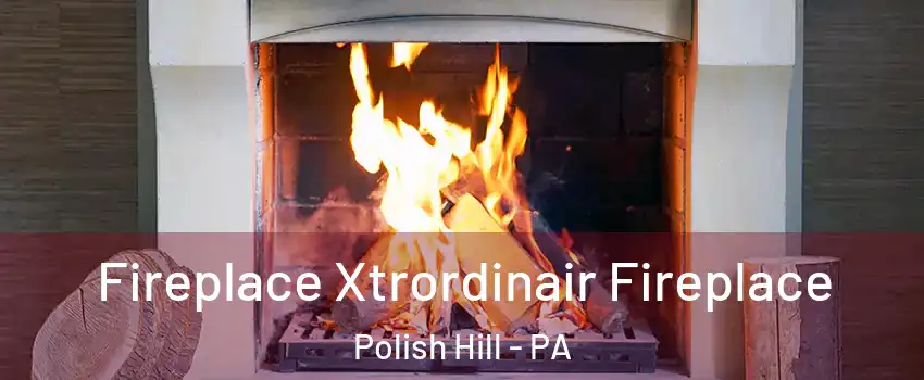 Fireplace Xtrordinair Fireplace Polish Hill - PA