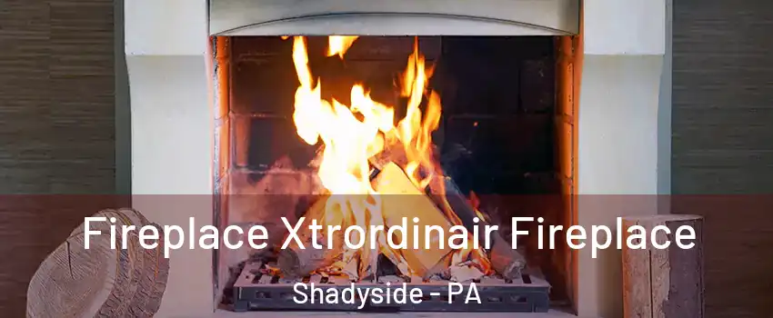 Fireplace Xtrordinair Fireplace Shadyside - PA