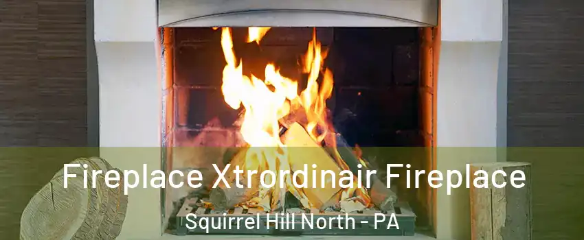 Fireplace Xtrordinair Fireplace Squirrel Hill North - PA