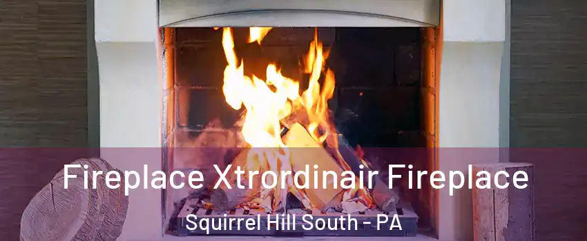 Fireplace Xtrordinair Fireplace Squirrel Hill South - PA