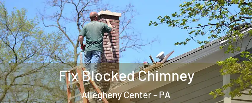 Fix Blocked Chimney Allegheny Center - PA