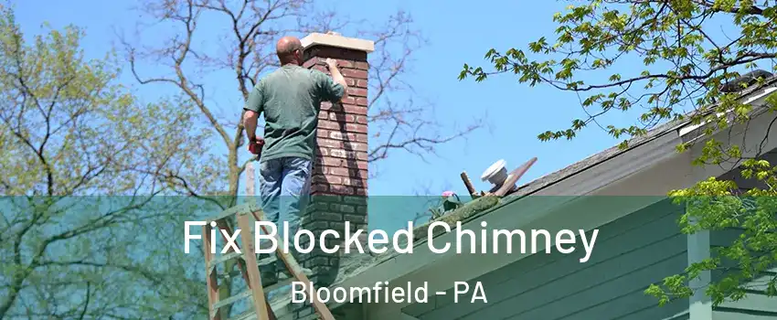 Fix Blocked Chimney Bloomfield - PA