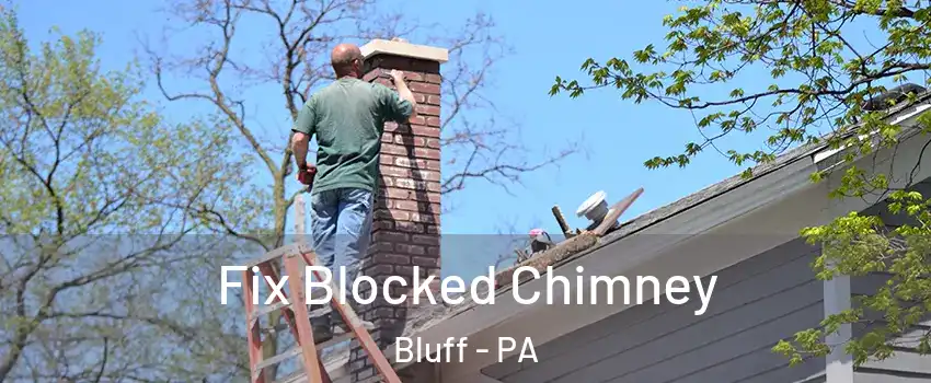 Fix Blocked Chimney Bluff - PA