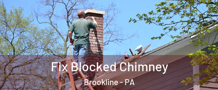 Fix Blocked Chimney Brookline - PA