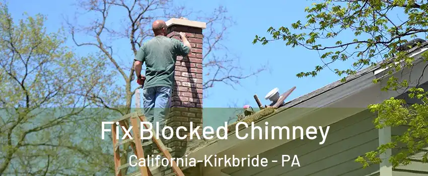 Fix Blocked Chimney California-Kirkbride - PA