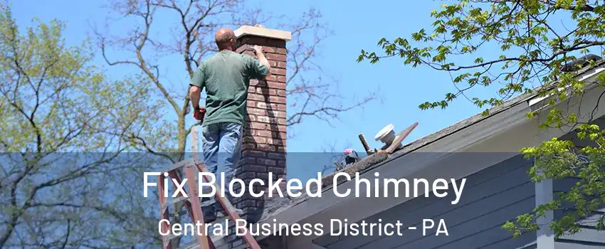 Fix Blocked Chimney Central Business District - PA