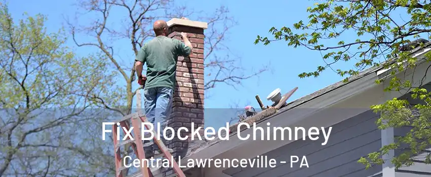 Fix Blocked Chimney Central Lawrenceville - PA