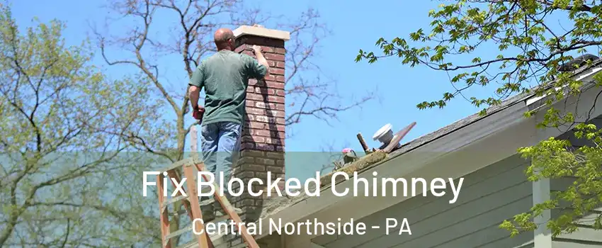 Fix Blocked Chimney Central Northside - PA