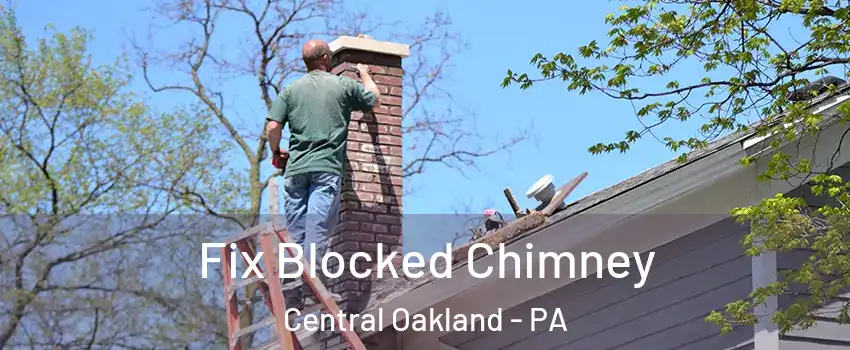 Fix Blocked Chimney Central Oakland - PA