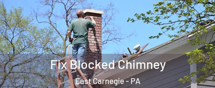 Fix Blocked Chimney East Carnegie - PA