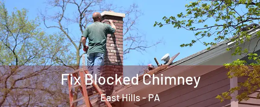 Fix Blocked Chimney East Hills - PA