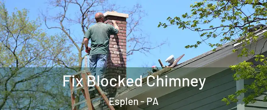 Fix Blocked Chimney Esplen - PA