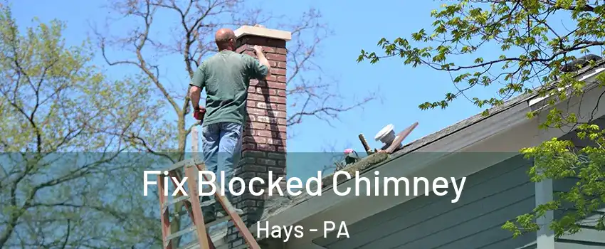 Fix Blocked Chimney Hays - PA