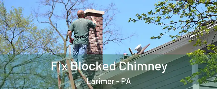 Fix Blocked Chimney Larimer - PA