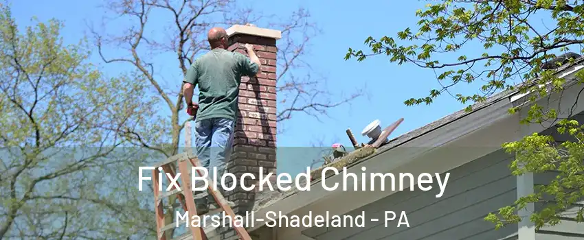Fix Blocked Chimney Marshall-Shadeland - PA