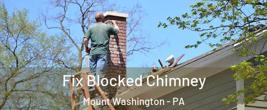 Fix Blocked Chimney Mount Washington - PA