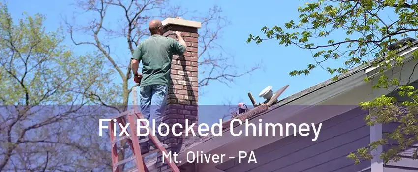 Fix Blocked Chimney Mt. Oliver - PA