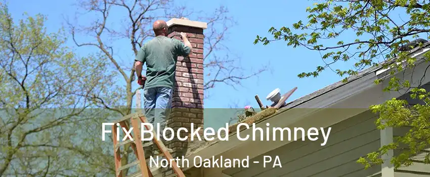 Fix Blocked Chimney North Oakland - PA