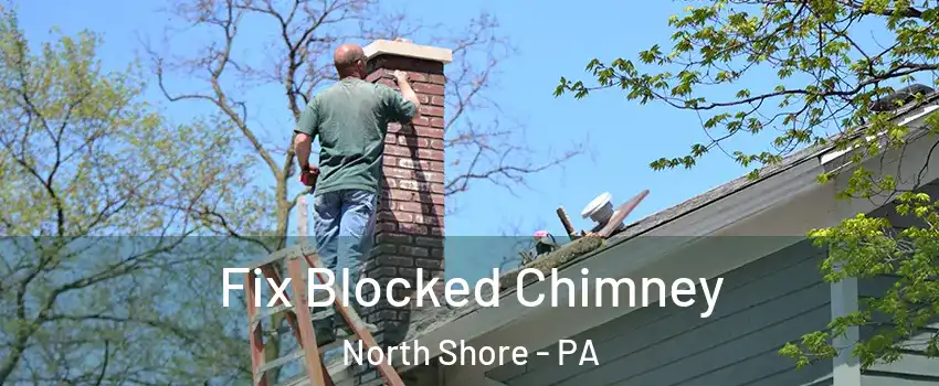 Fix Blocked Chimney North Shore - PA