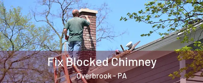 Fix Blocked Chimney Overbrook - PA