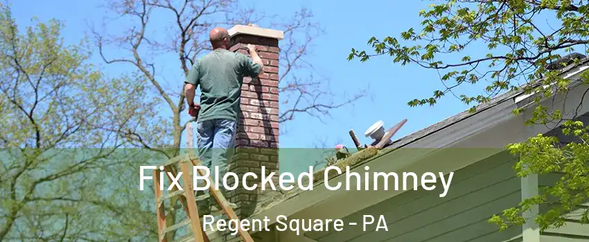 Fix Blocked Chimney Regent Square - PA
