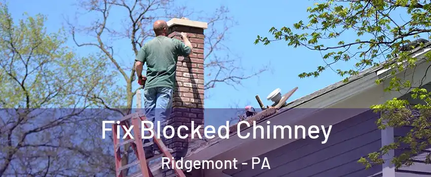 Fix Blocked Chimney Ridgemont - PA