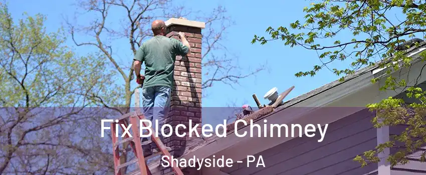 Fix Blocked Chimney Shadyside - PA